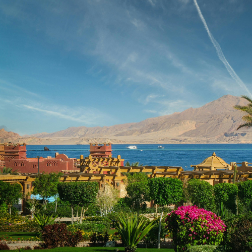 تصميم بدون عنوان 2026 01 25T165957.294