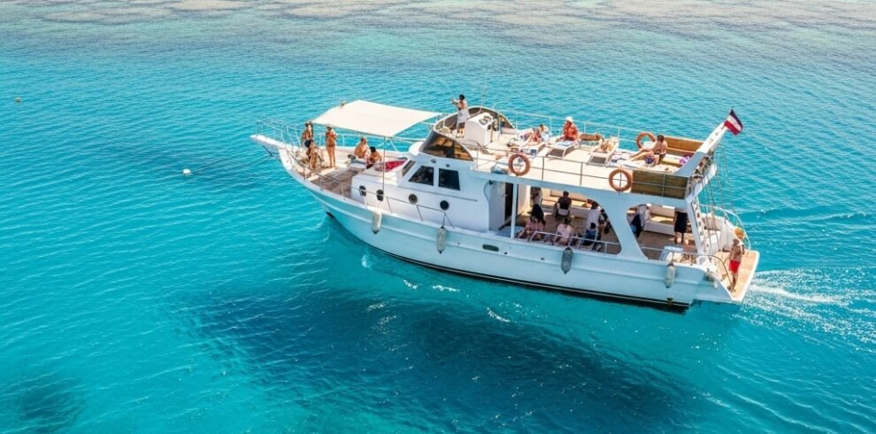 Whisk_2df1650d03e35d5bf914e89df420db37dr