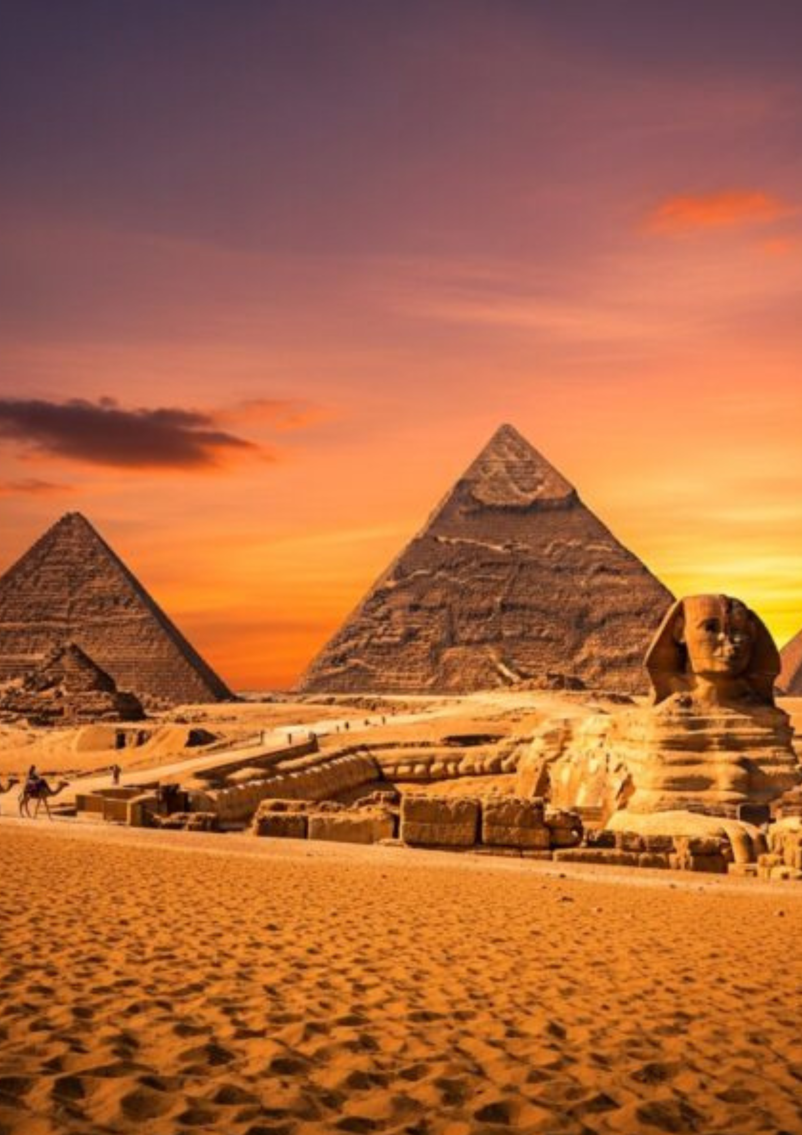 تصميم بدون عنوان 2026 01 28T224750.726