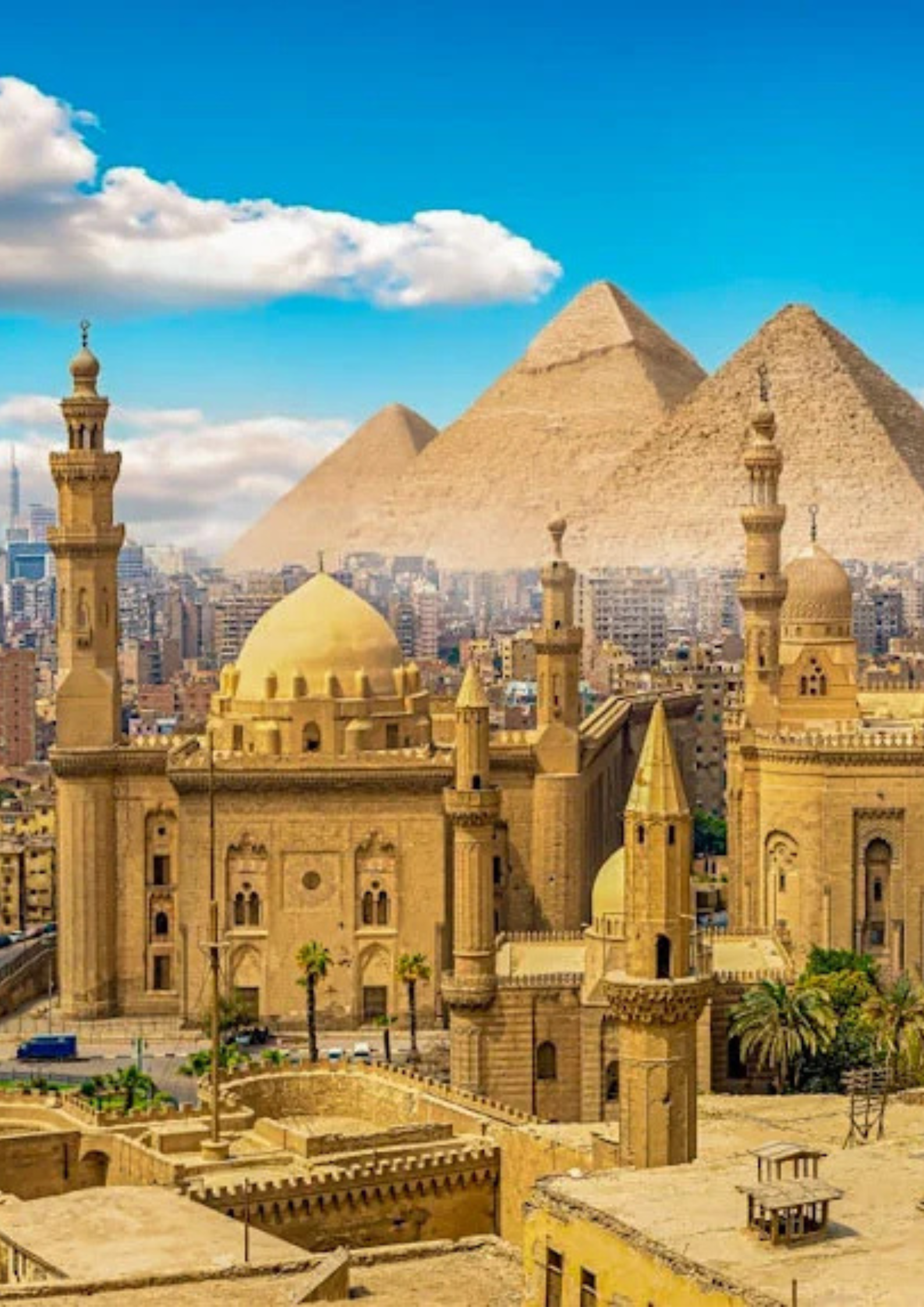 تصميم بدون عنوان 2026 01 28T224814.569